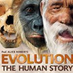 Evolution: The Human Story Roberts, Dr Alice