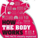 How the Body Works