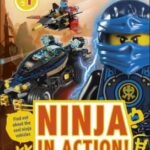 LEGO NINJAGO Ninja in Action