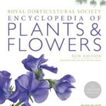 Plants and flowers