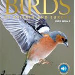 RSPB Birds of Britain and Europe