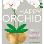 Happy Orchid