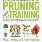 RHS Pruning & Training