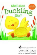 Duckling (What does... Like)