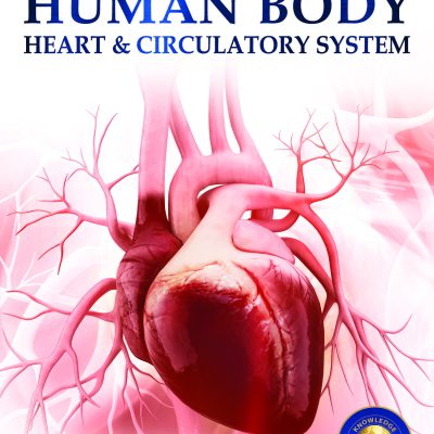 Human Body - Heart And Circulatory System: Knowledge Encyclopedia For Children