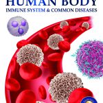 Human Body - Immune System And Common Diseases: Knowledge Encyclopedia For Children