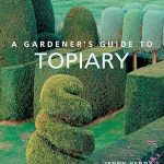 A Gardener'S Guide To Topiary