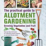 Practical Book Of Allotment Garde