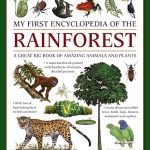 My First Encyclopedia of the Rainforest