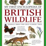 My First Encyclopedia Of British Wildlife