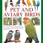The Complete Practical Guide to Pet and Aviary Birds