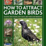 How to Attract Garden Birds
