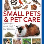 Small Pets and Pet Care The Complete Practical Guide