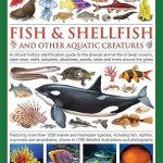The World Encyclopedia of Fish & Shellfish of the World