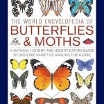 The World Encyclopedia of Butterflies & Moths