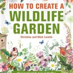 How to Create a Wildlife Garden
