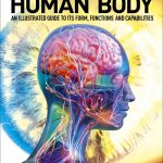 The Human Body
