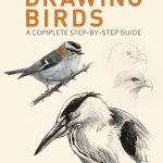 Drawing Birds
