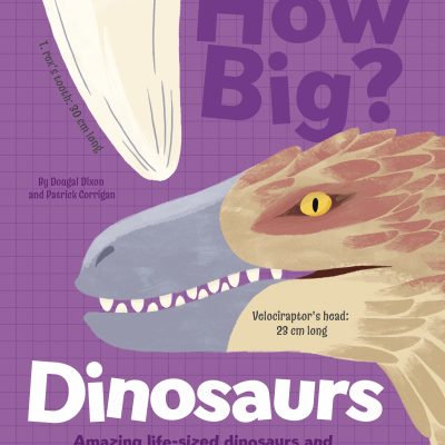 How Big? Dinosaurs