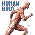 The Ultimate Book of the Human Body