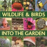 How to Attract Wildlife and Birds Into The Garden