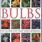 The Gardeners Guide to Bulbs