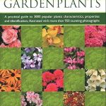 Illustrated Handbook of Garden Plants