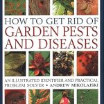 How to Get Rid of Garden Pests and Diseases