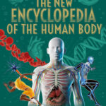 The New Encyclopedia of the Human Body